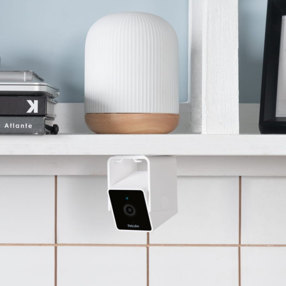 Камера відеоспостереження Petcube Cam за собаками Камера відеоспостереження Petcube Cam за собаками