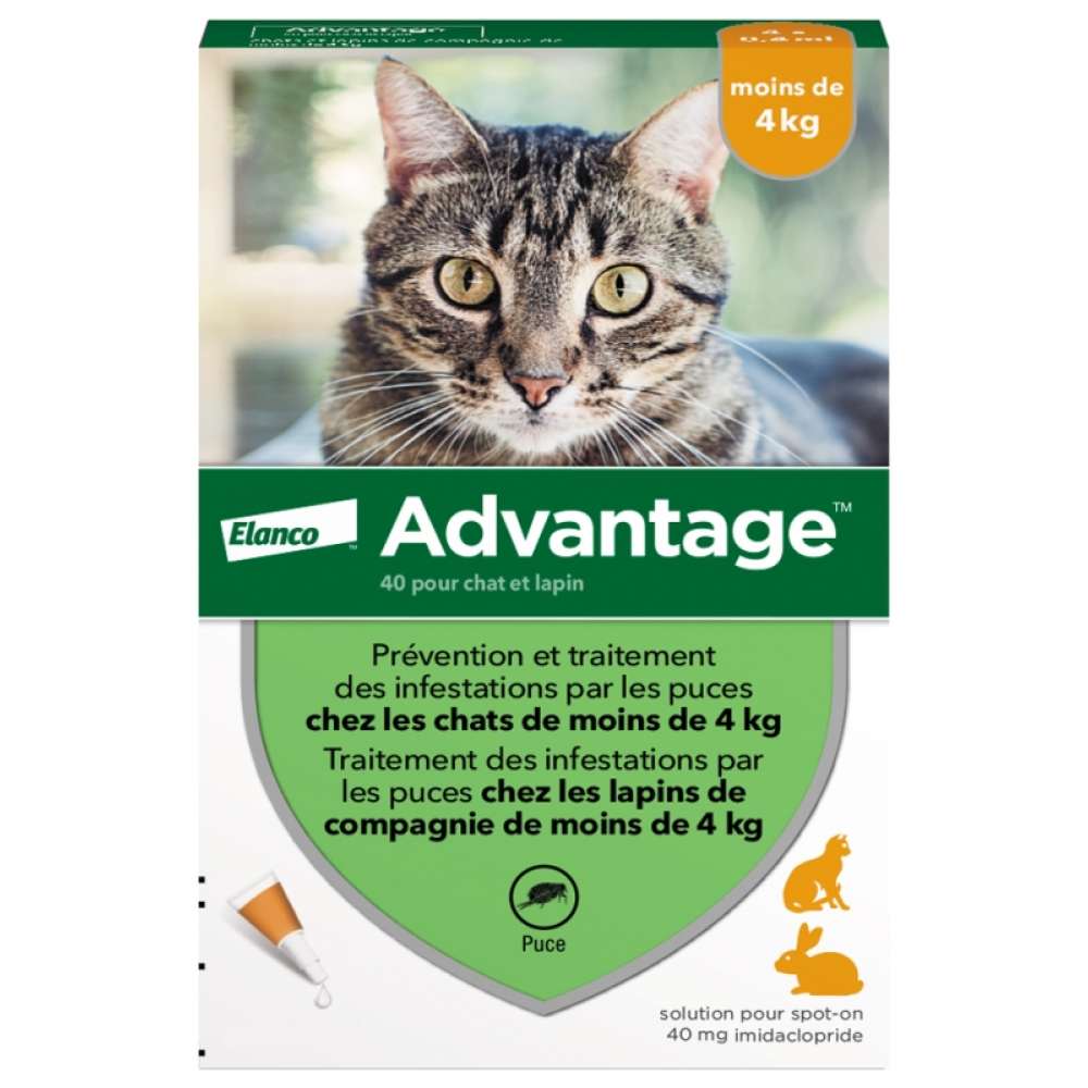 Краплі на холку для котів Elanco Bayer Advantage до 4 кг, 1 шт Краплі на холку для котів Elanco Bayer Advantage до 4 кг, 1 шт
