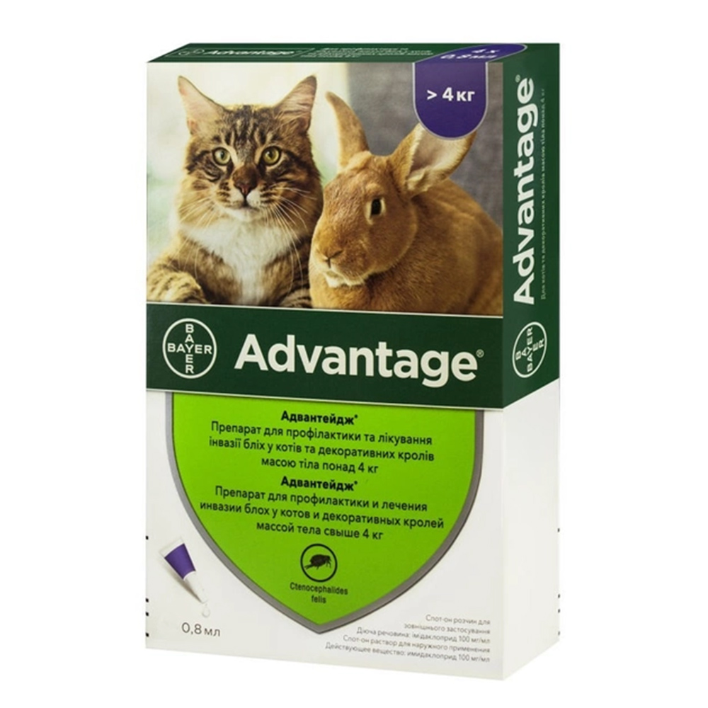 Elanco Bayer Advantage краплі на холку для котів від 4 до 8 кг, 1 шт Elanco Bayer Advantage краплі на холку для котів від 4 до 8 кг, 1 шт