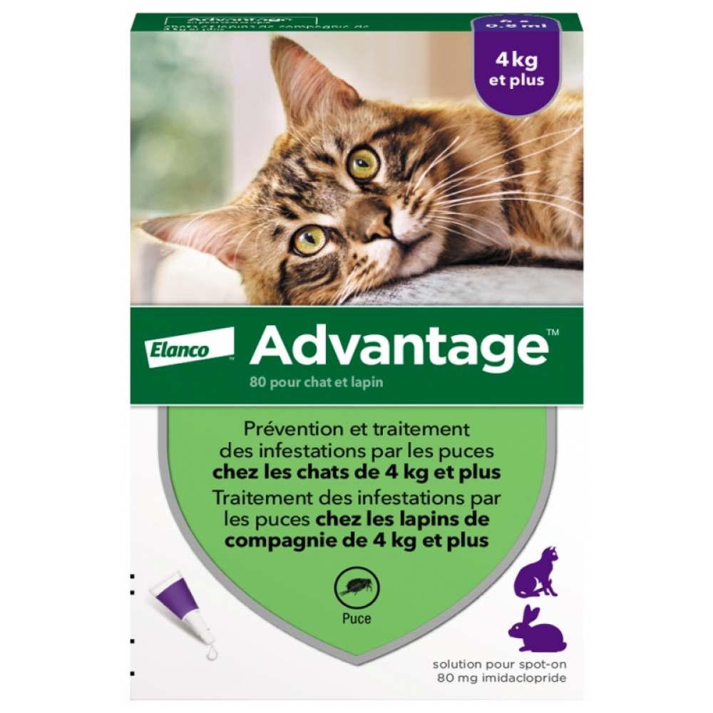 Elanco Bayer Advantage краплі на холку для котів від 4 до 8 кг, 1 шт Elanco Bayer Advantage краплі на холку для котів від 4 до 8 кг, 1 шт