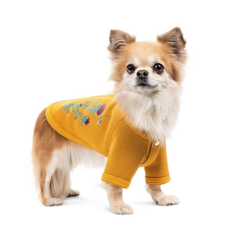 Кардиган для собак Pet Fashion Denis XS Кардиган для собак Pet Fashion Denis XS