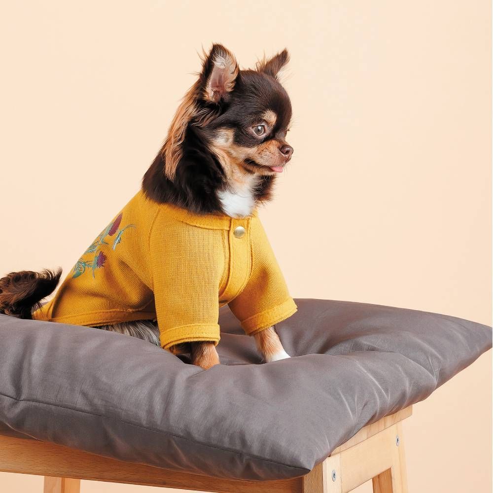 Кардиган для собак Pet Fashion Denis XS Кардиган для собак Pet Fashion Denis XS