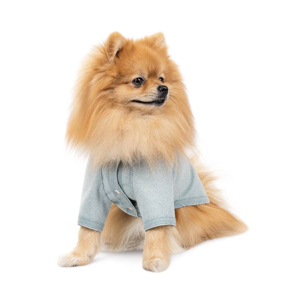 Кардиган для собак Pet Fashion Denis XS Кардиган для собак Pet Fashion Denis XS