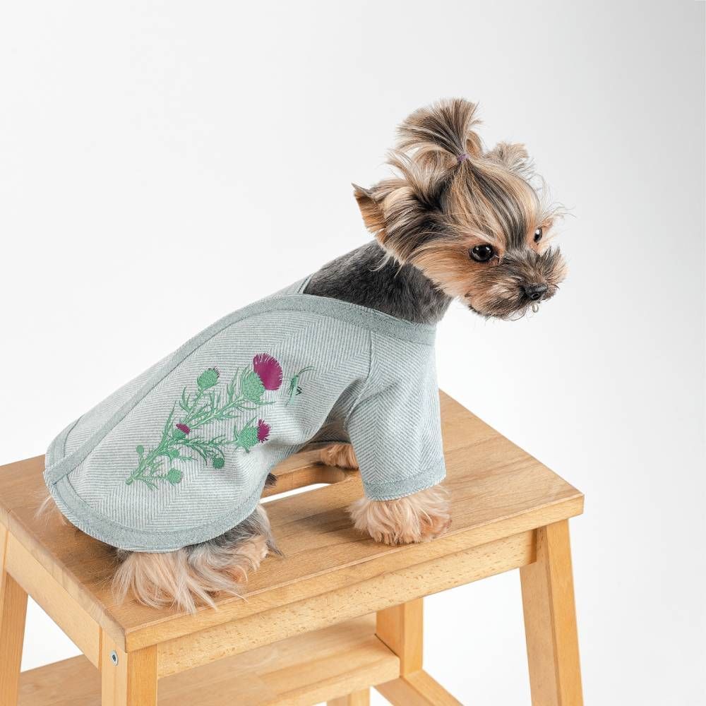 Кардиган для собак Pet Fashion Denis XS Кардиган для собак Pet Fashion Denis XS