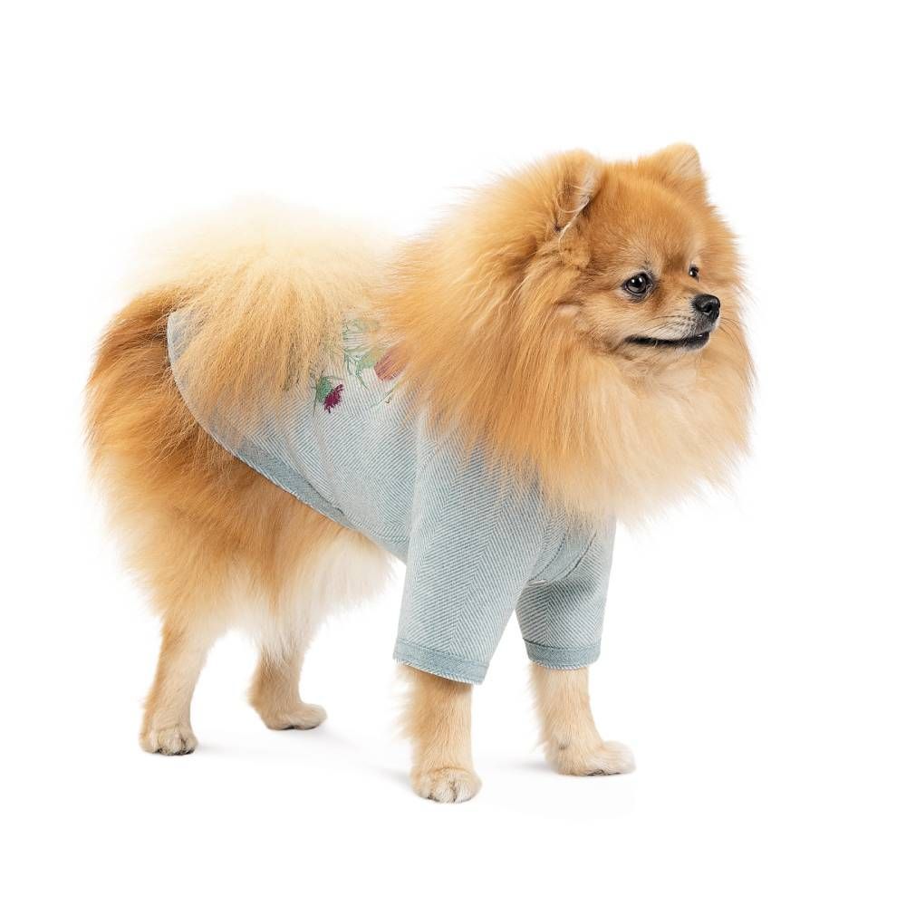 Кардиган для собак Pet Fashion Denis XS Кардиган для собак Pet Fashion Denis XS