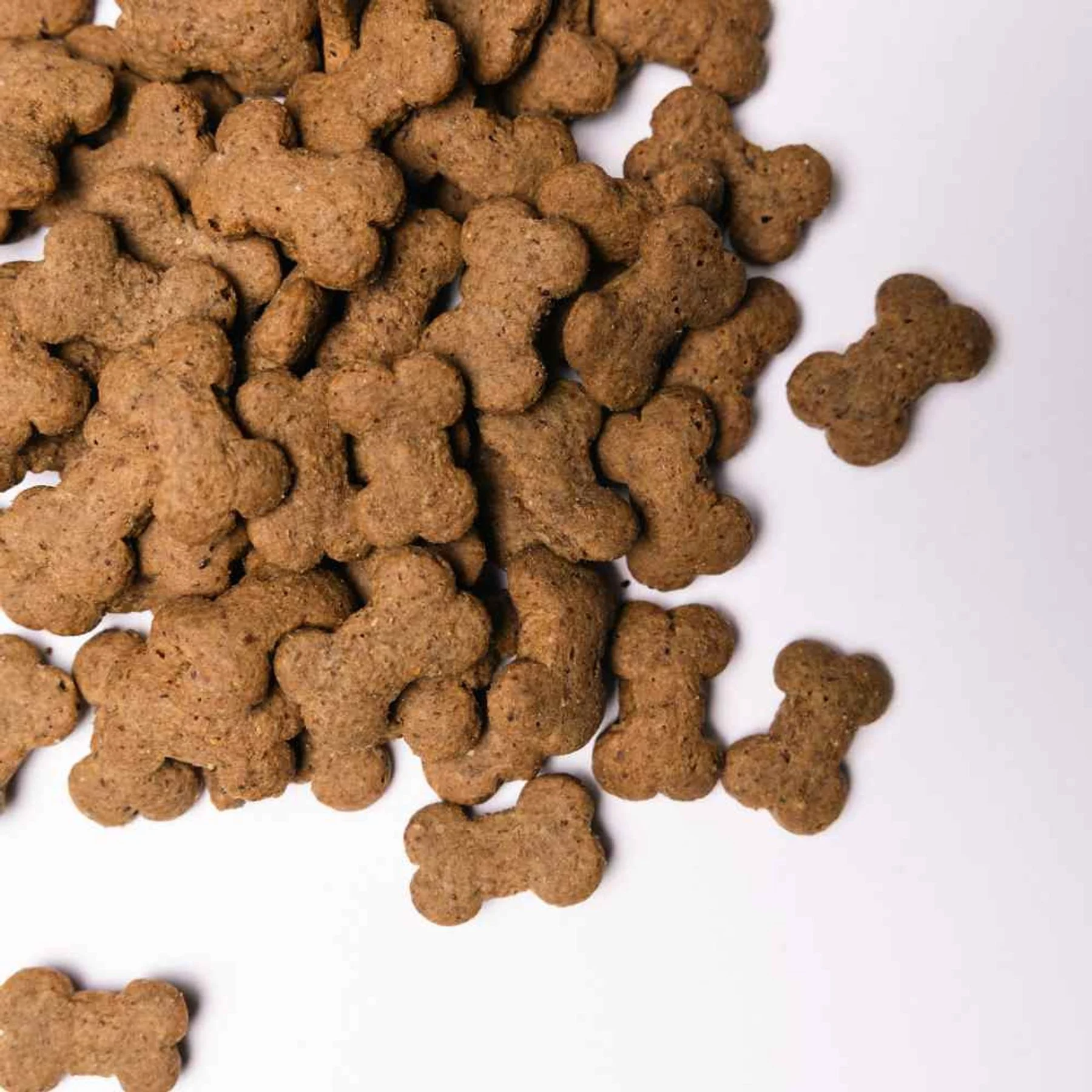 Ласощі для цуценят Savory Puppy Crunchy Snacks 200 г - ягня та обліпиха