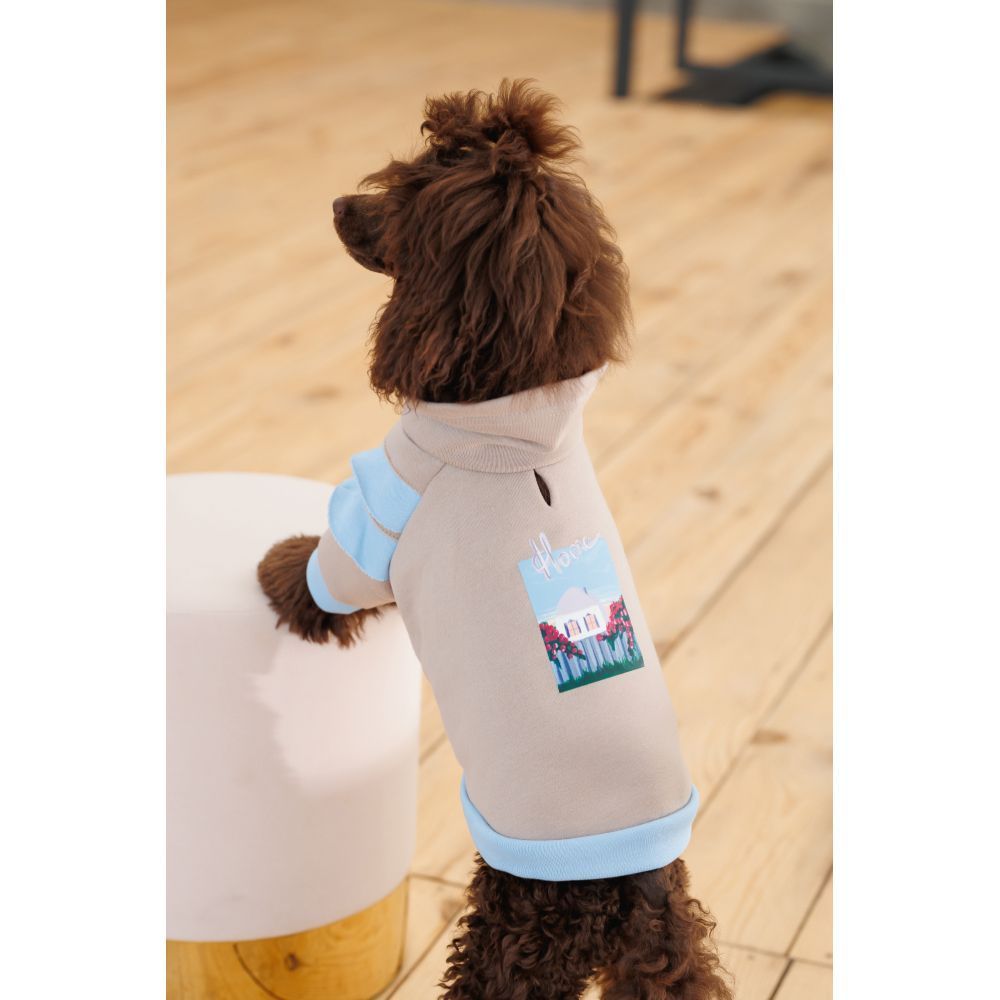 Худі для собак Pet Fashion Home M Худі для собак Pet Fashion Home M