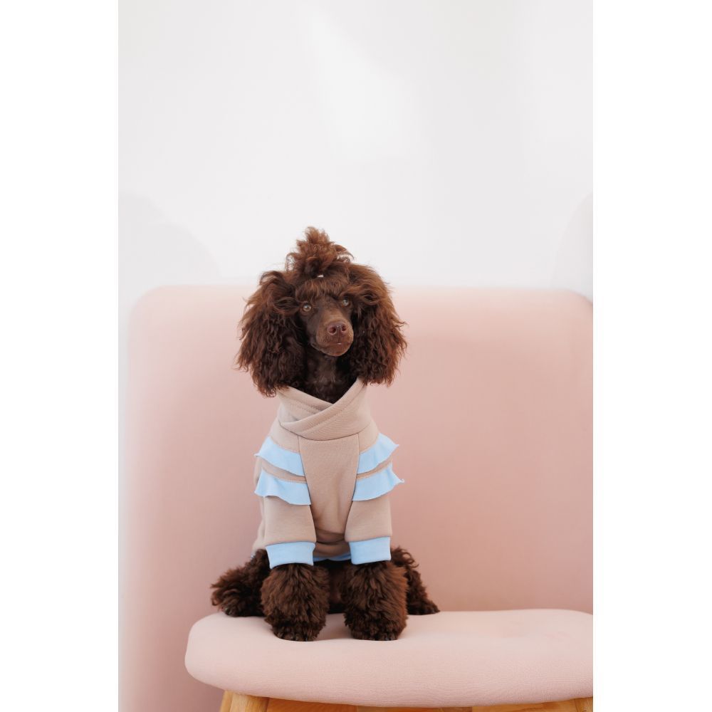 Худі для собак Pet Fashion Home M Худі для собак Pet Fashion Home M