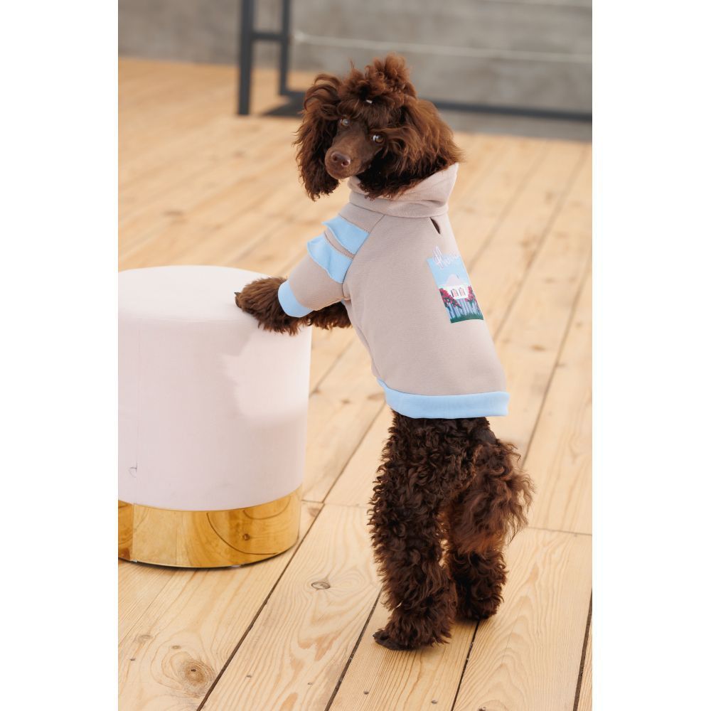 Худі для собак Pet Fashion Home M Худі для собак Pet Fashion Home M