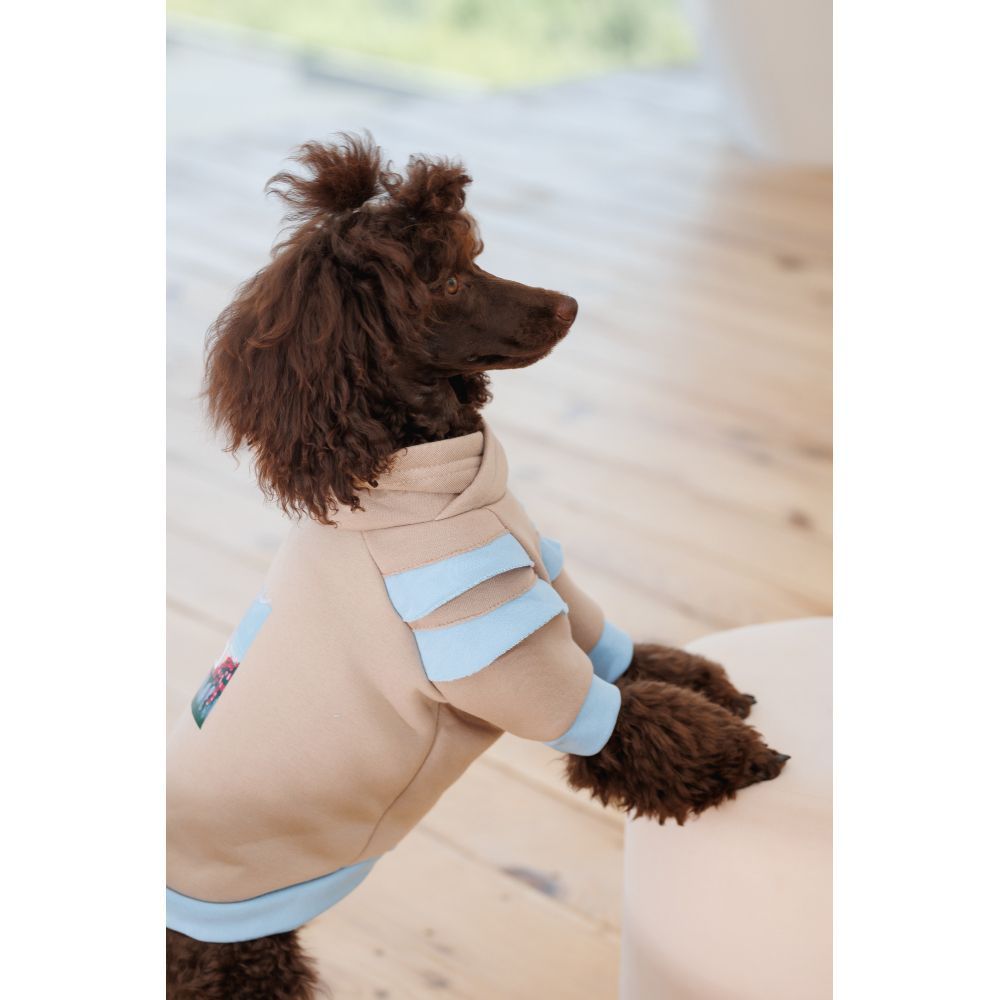 Худі для собак Pet Fashion Home M Худі для собак Pet Fashion Home M