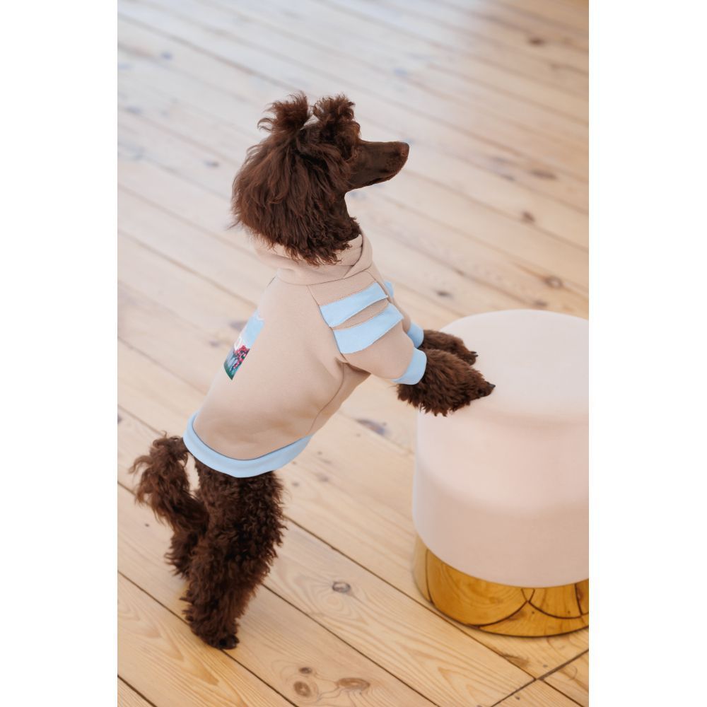 Худі для собак Pet Fashion Home M Худі для собак Pet Fashion Home M