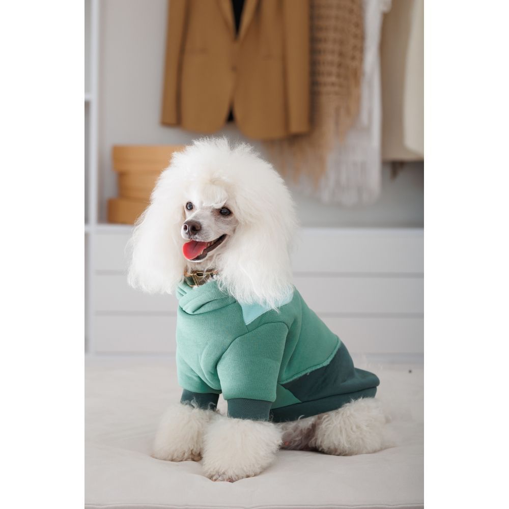 Худи для собак Pet Fashion Woody XS Худи для собак Pet Fashion Woody XS
