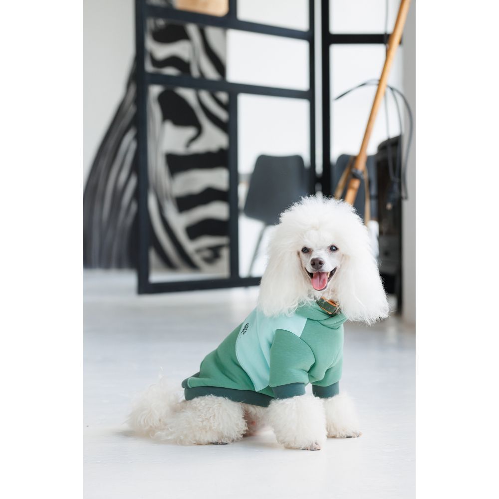 Худи для собак Pet Fashion Woody XS Худи для собак Pet Fashion Woody XS