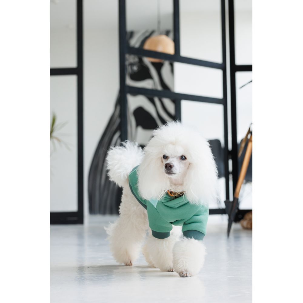 Худи для собак Pet Fashion Woody XS Худи для собак Pet Fashion Woody XS