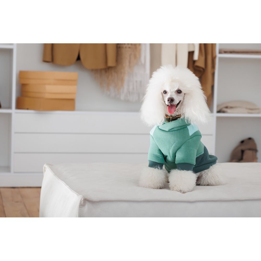 Худи для собак Pet Fashion Woody XS Худи для собак Pet Fashion Woody XS