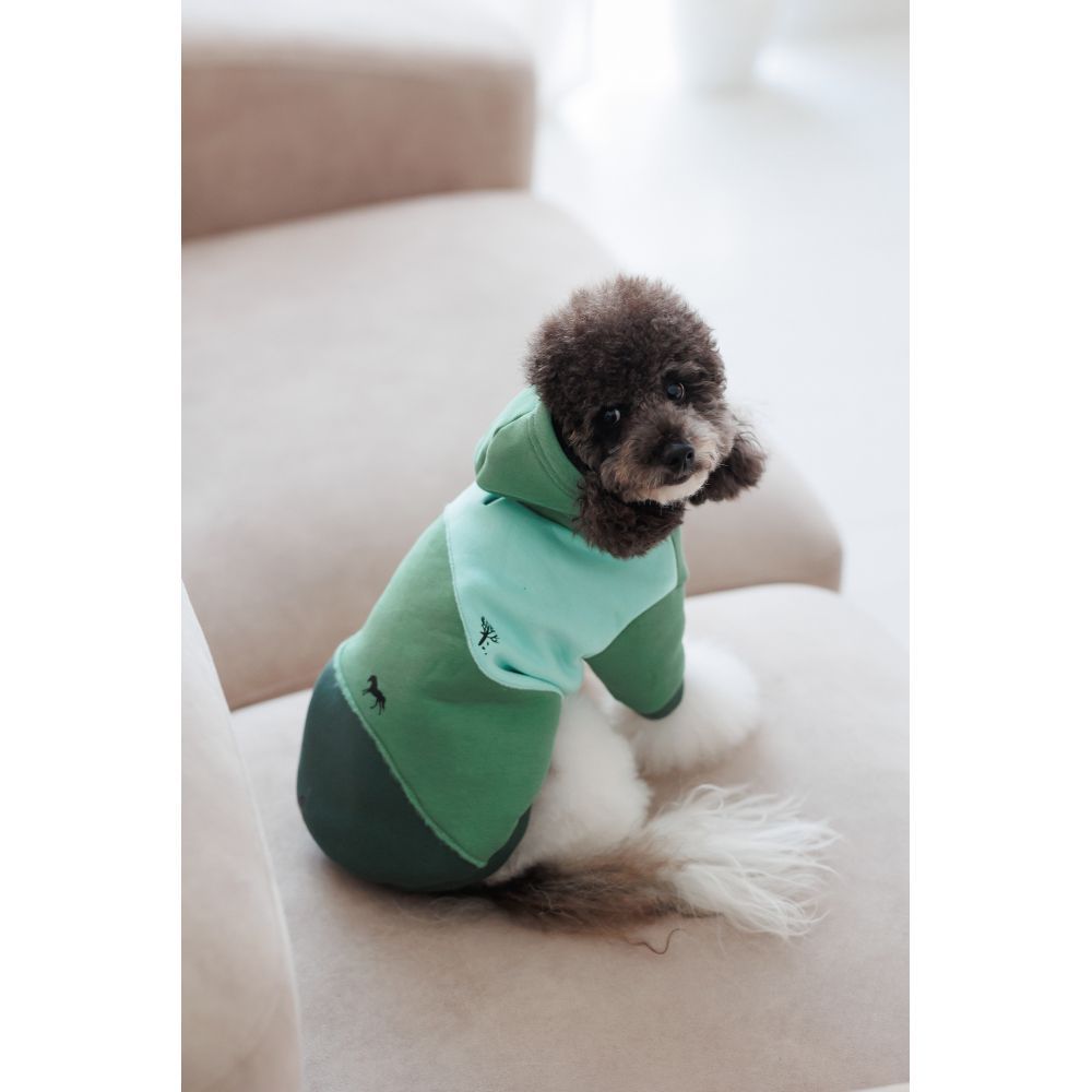 Худи для собак Pet Fashion Woody XS Худи для собак Pet Fashion Woody XS