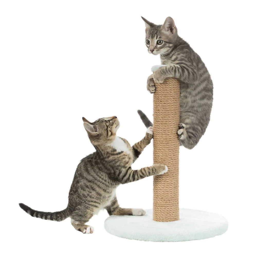 Когтеточка - столбик Trixie Junior 30 см / 42 см (мятная)