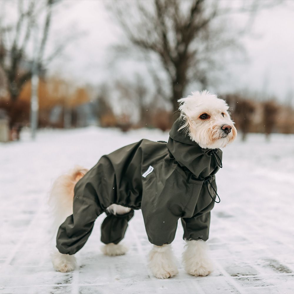 Комбінезон для собак Noble Pet Travis M