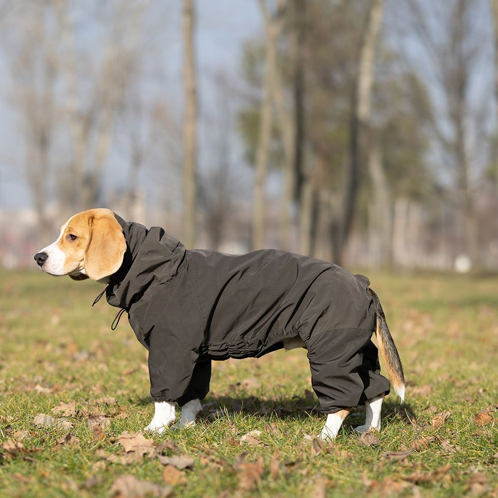 Комбінезон для собак Noble Pet Travis M