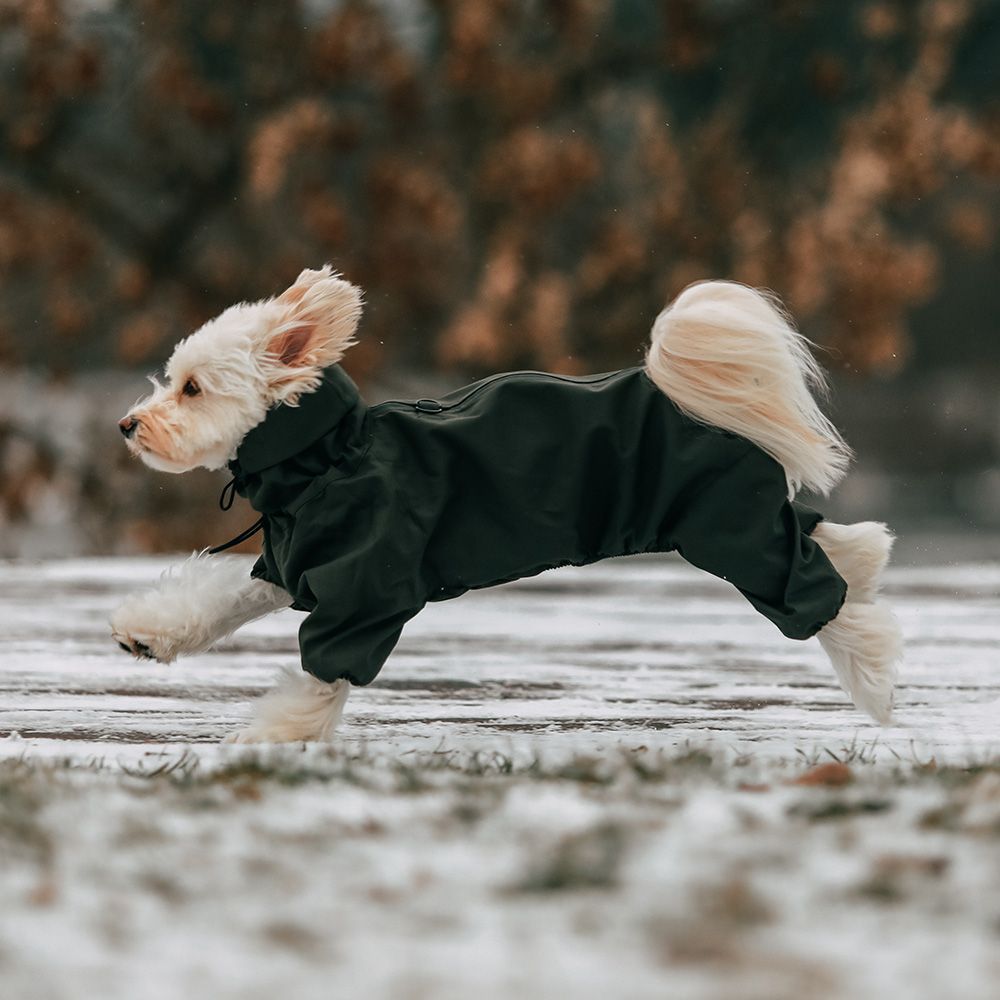Комбінезон для собак Noble Pet Travis M