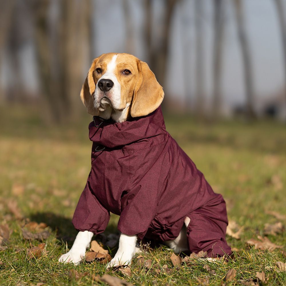 Комбінезон для собак Noble Pet Travis M - бордовий