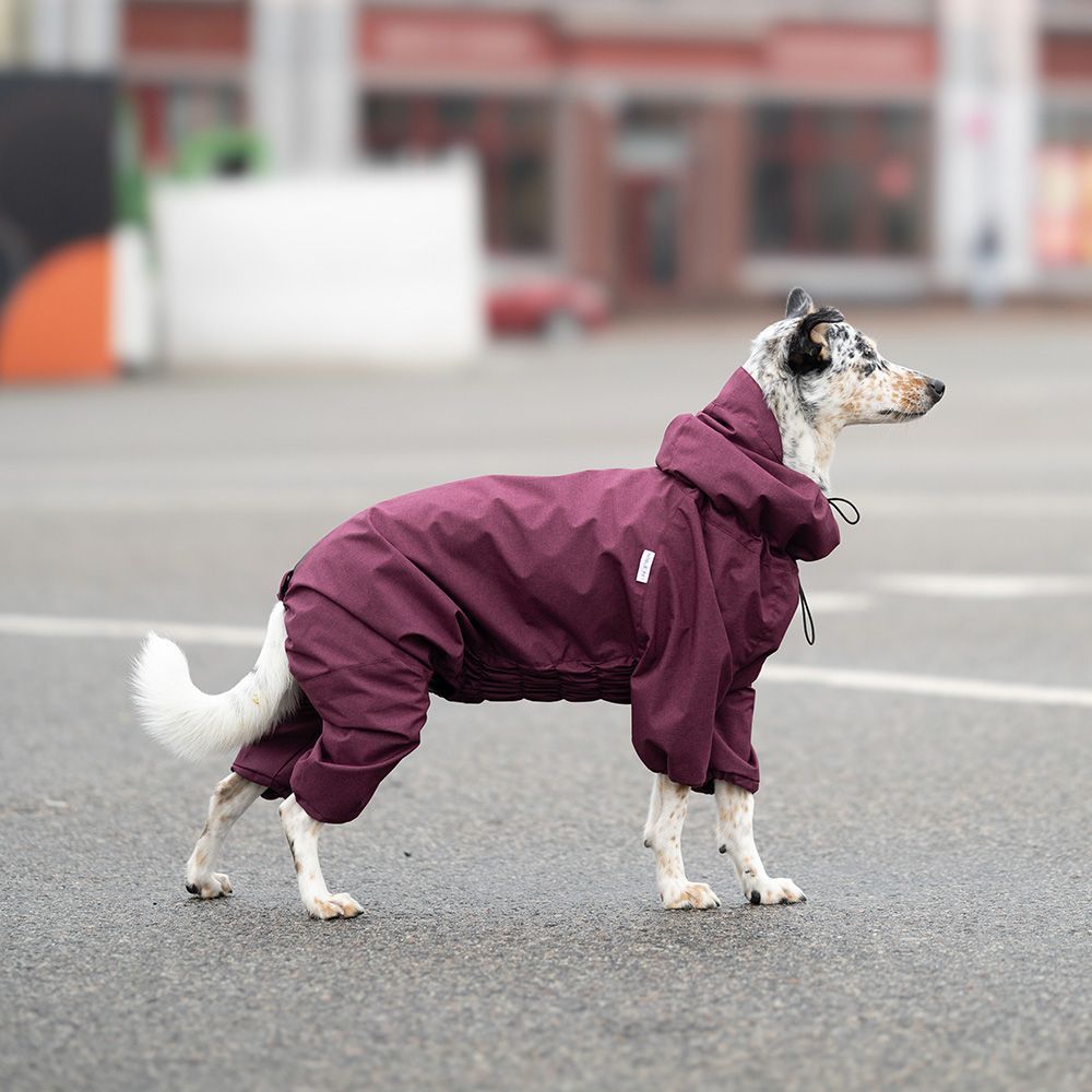 Комбінезон для собак Noble Pet Travis M - бордовий