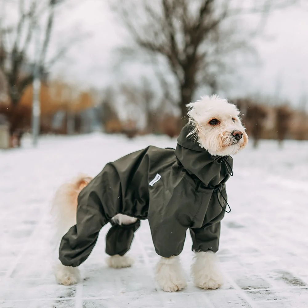 Комбінезон для собак Noble Pet Travis S