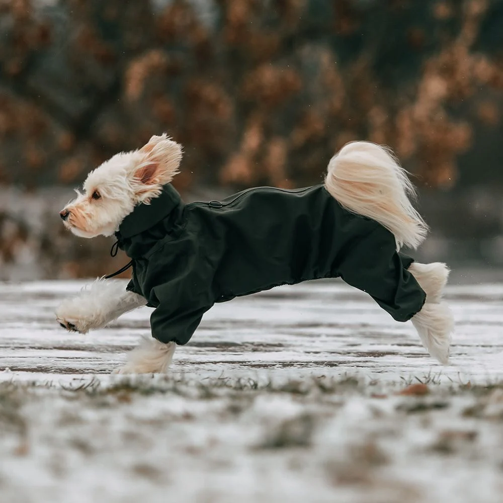 Комбінезон для собак Noble Pet Travis S
