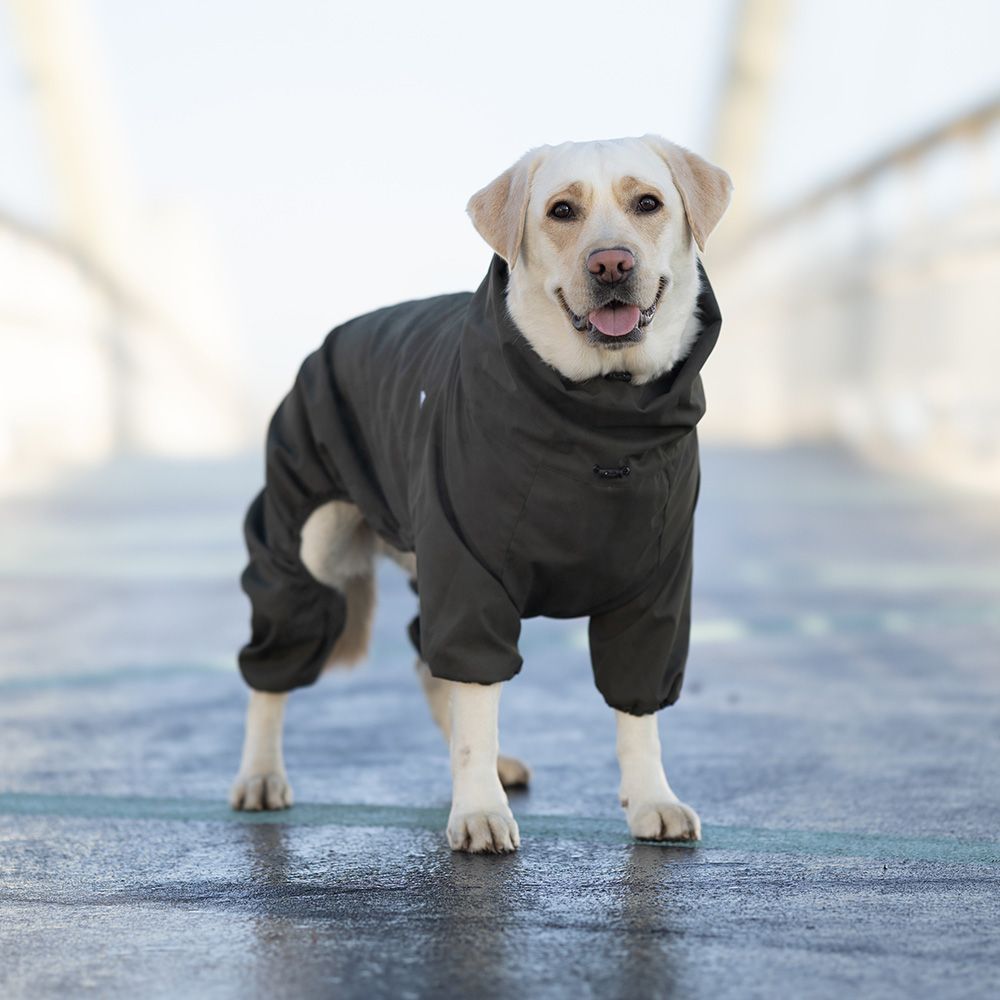Комбінезон для собак Noble Pet Travis - бордовий