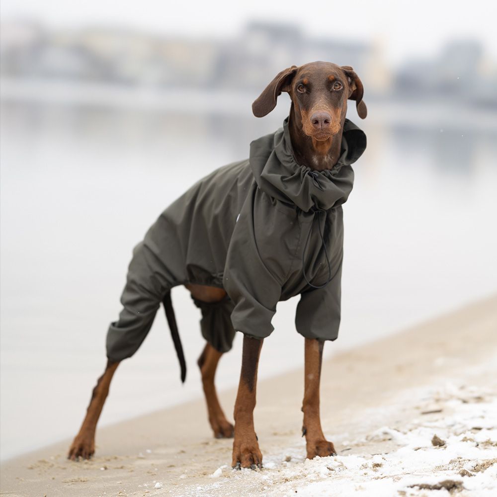 Комбінезон для собак Noble Pet Travis - бордовий