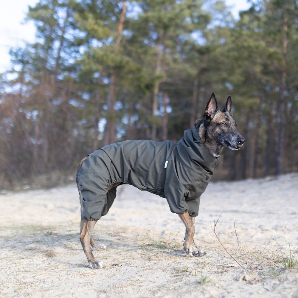 Комбінезон для собак Noble Pet Travis - бордовий