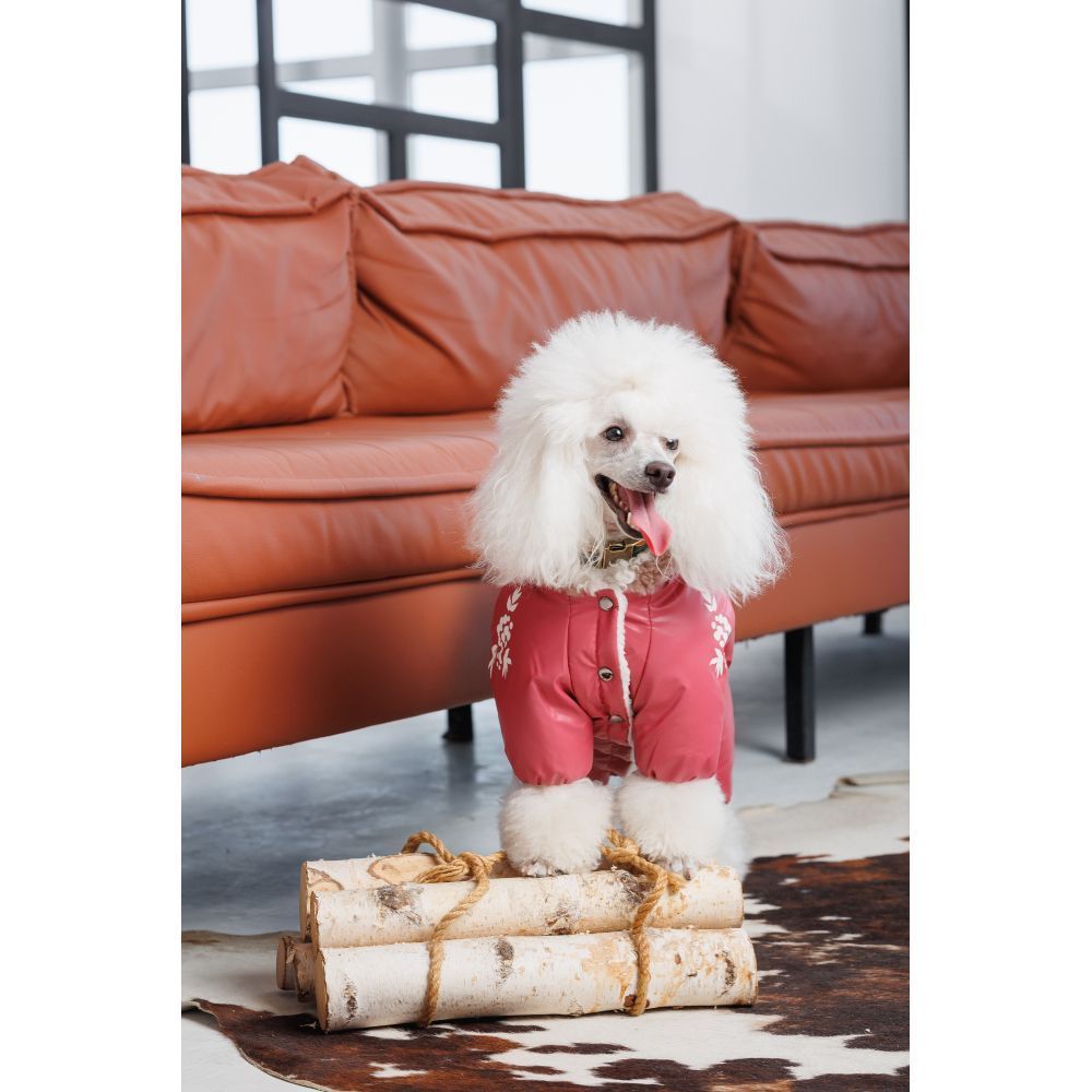 Комбінезон для собак Pet Fashion Cherry S-2 Комбінезон для собак Pet Fashion Cherry S-2