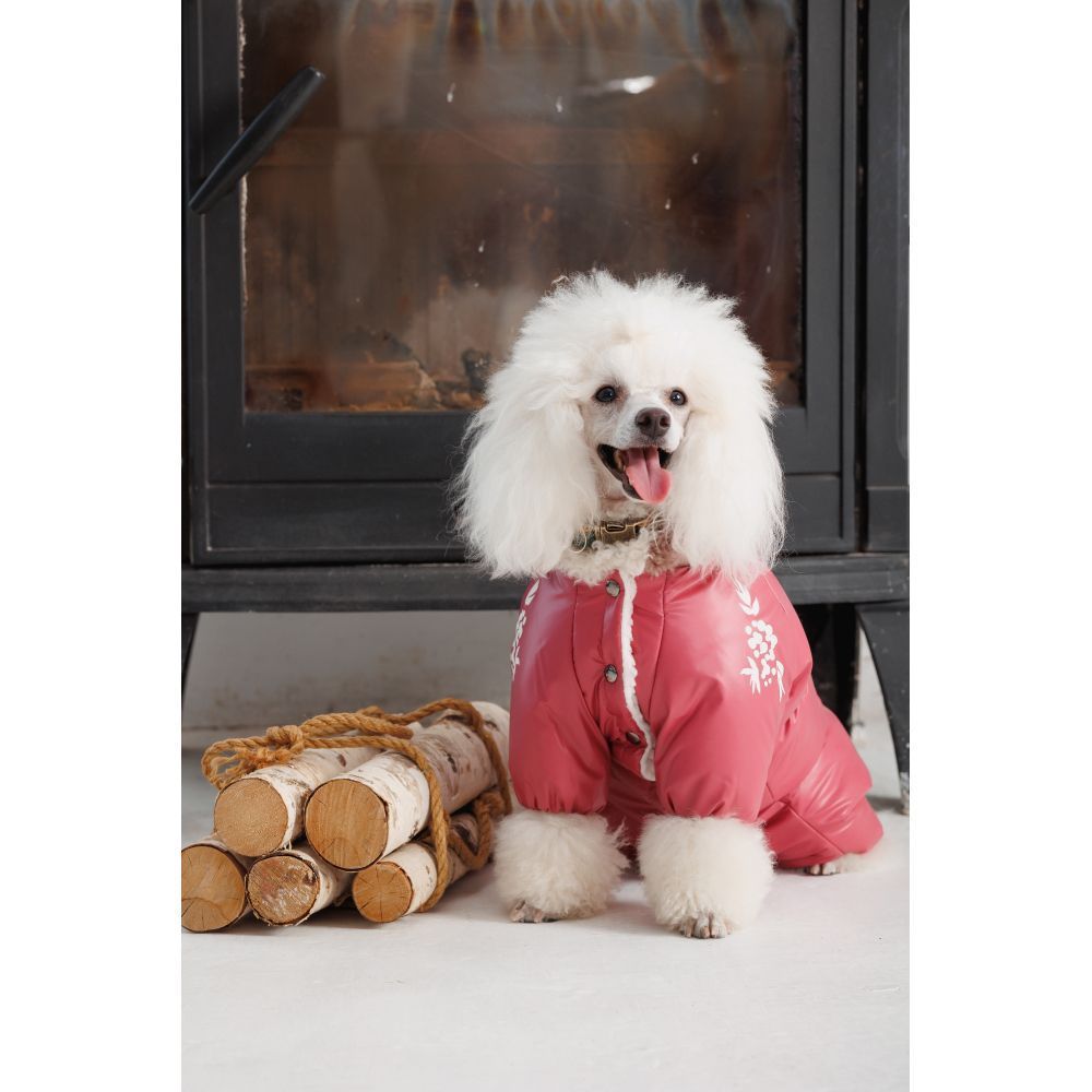 Комбінезон для собак Pet Fashion Cherry S-2 Комбінезон для собак Pet Fashion Cherry S-2