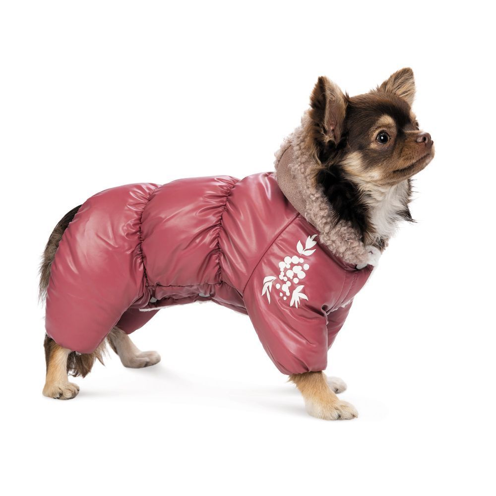 Комбінезон для собак Pet Fashion Cherry S-2 Комбінезон для собак Pet Fashion Cherry S-2