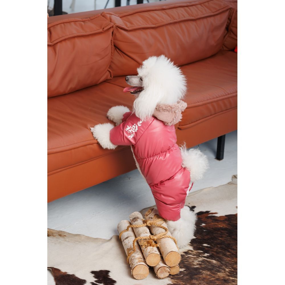 Комбінезон для собак Pet Fashion Cherry S-2 Комбінезон для собак Pet Fashion Cherry S-2