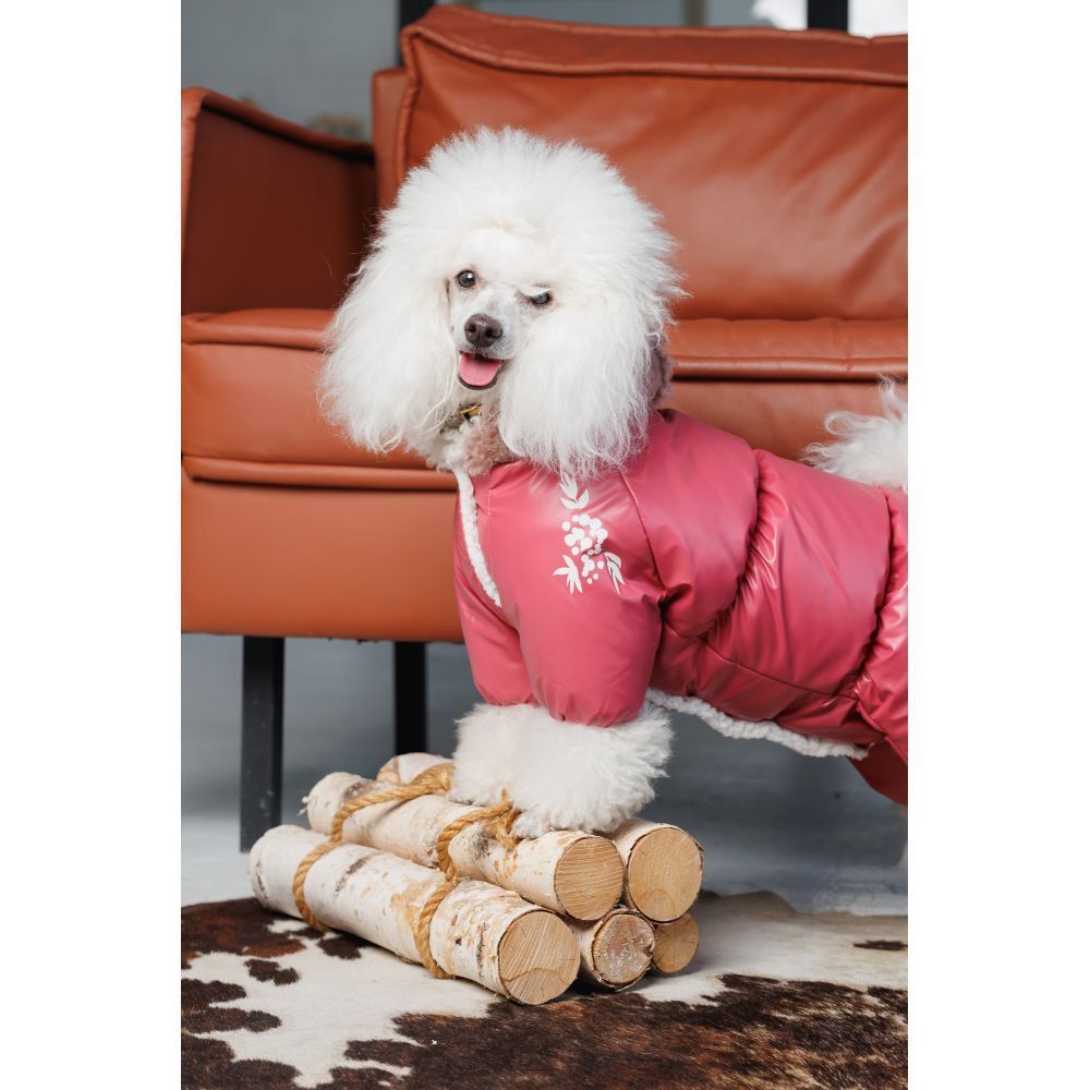 Комбінезон для собак Pet Fashion Cherry S-2 Комбінезон для собак Pet Fashion Cherry S-2