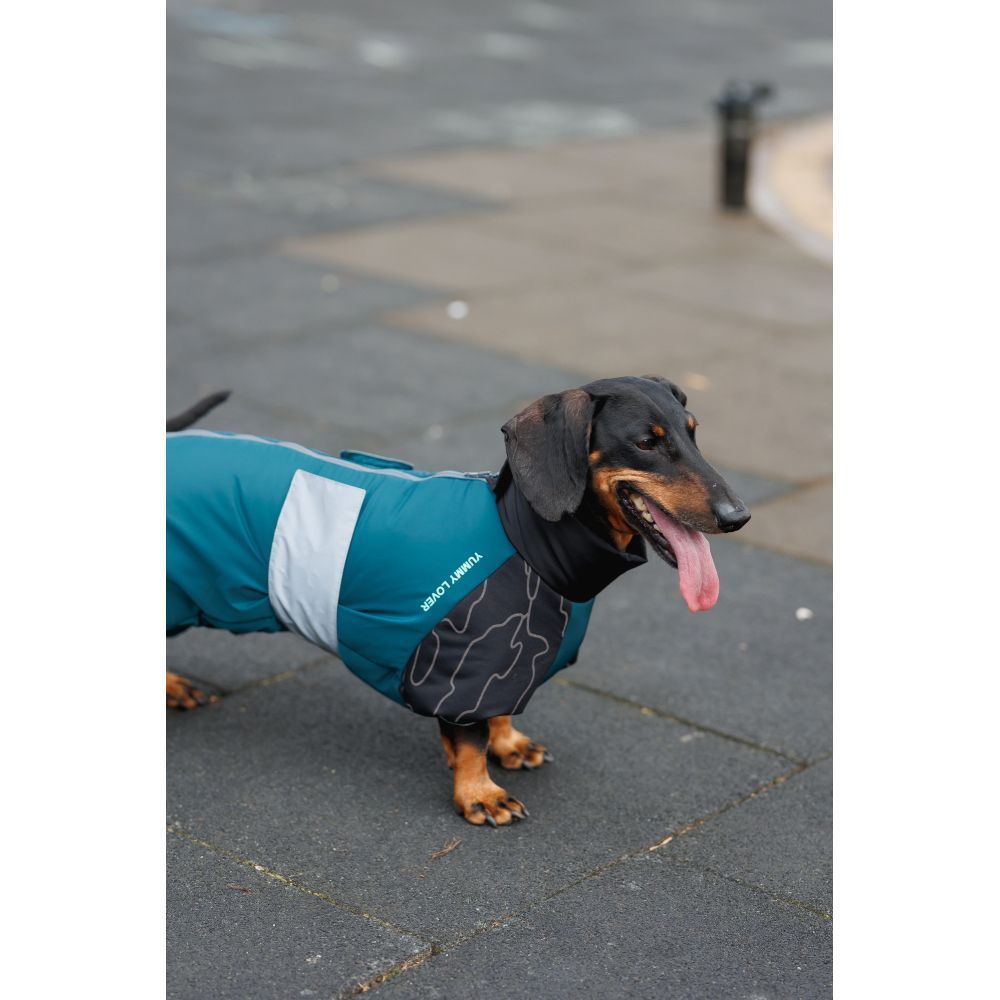 Комбінезон для собак Pet Fashion Den XL коргі Комбінезон для собак Pet Fashion Den XL коргі