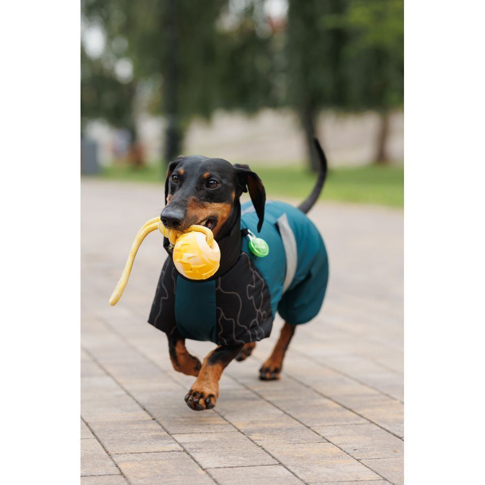 Комбінезон для собак Pet Fashion Den XL коргі Комбінезон для собак Pet Fashion Den XL коргі