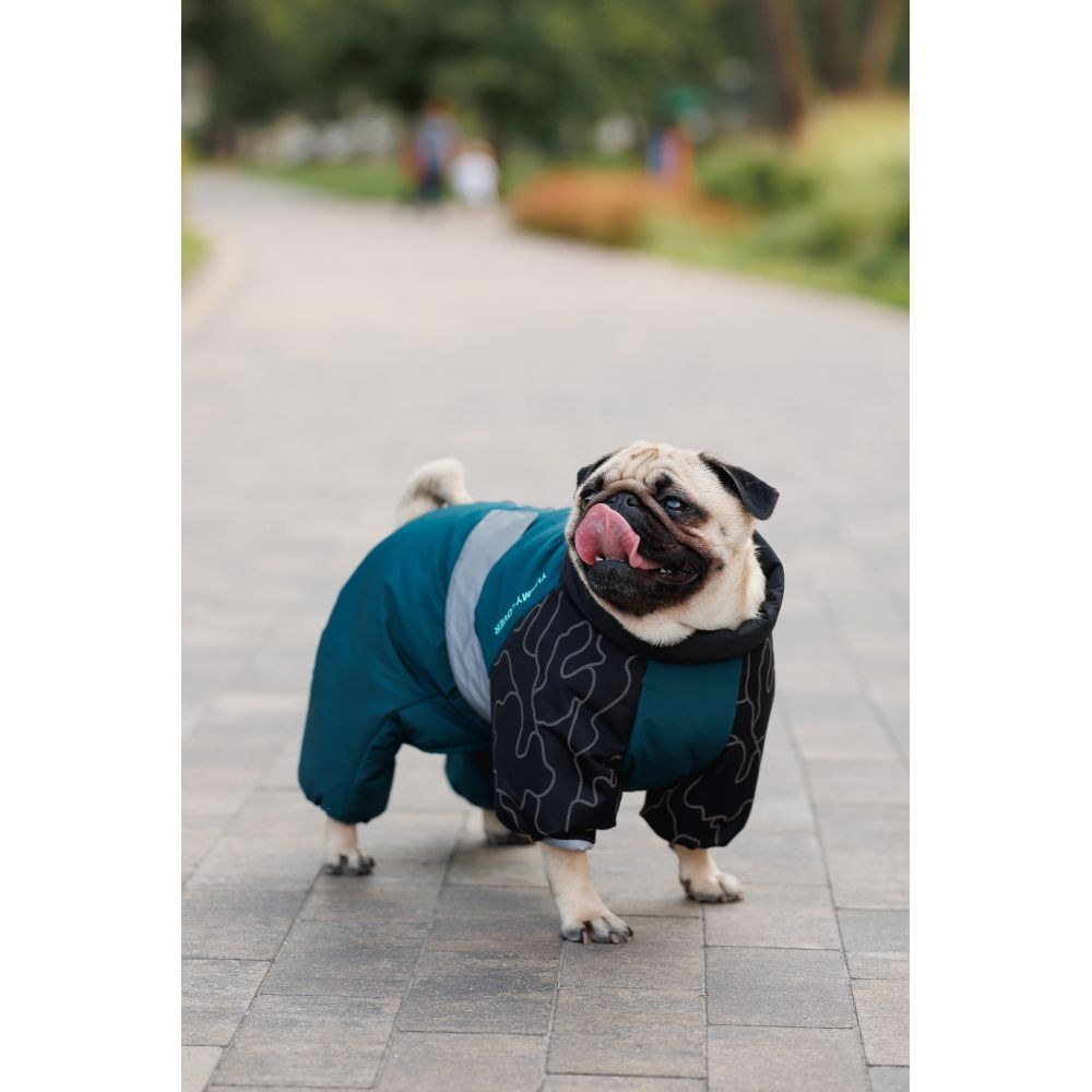 Комбінезон для собак Pet Fashion Den XL коргі Комбінезон для собак Pet Fashion Den XL коргі