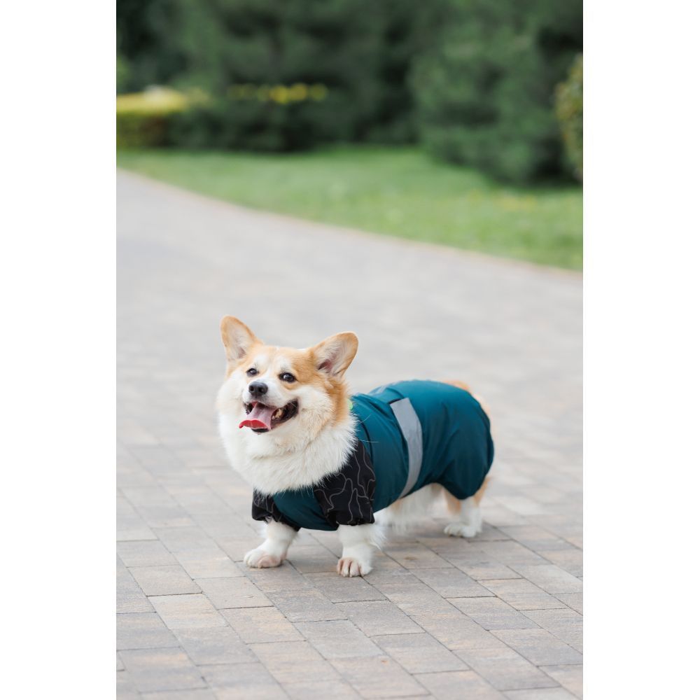 Комбінезон для собак Pet Fashion Den XL коргі Комбінезон для собак Pet Fashion Den XL коргі