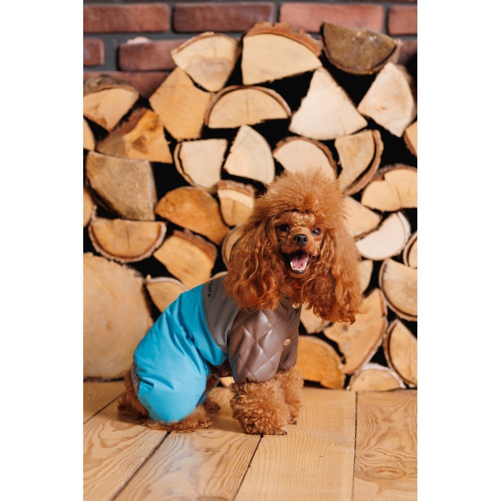 Комбінезон для собак Pet Fashion Charlie XS Комбінезон для собак Pet Fashion Charlie XS