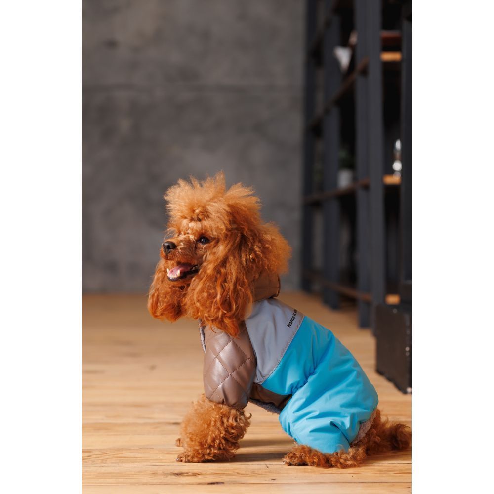 Комбінезон для собак Pet Fashion Charlie XS Комбінезон для собак Pet Fashion Charlie XS