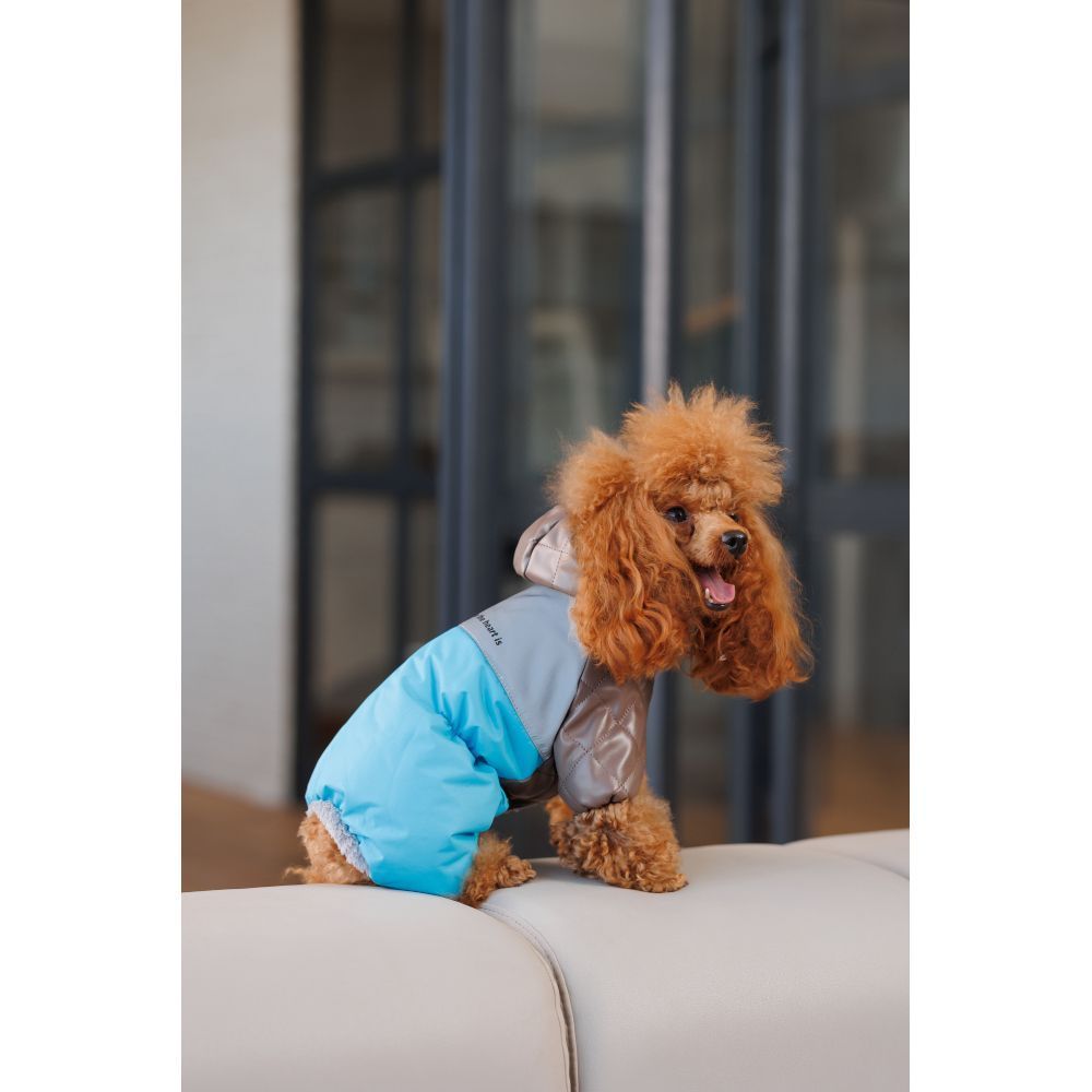 Комбінезон для собак Pet Fashion Charlie XS Комбінезон для собак Pet Fashion Charlie XS
