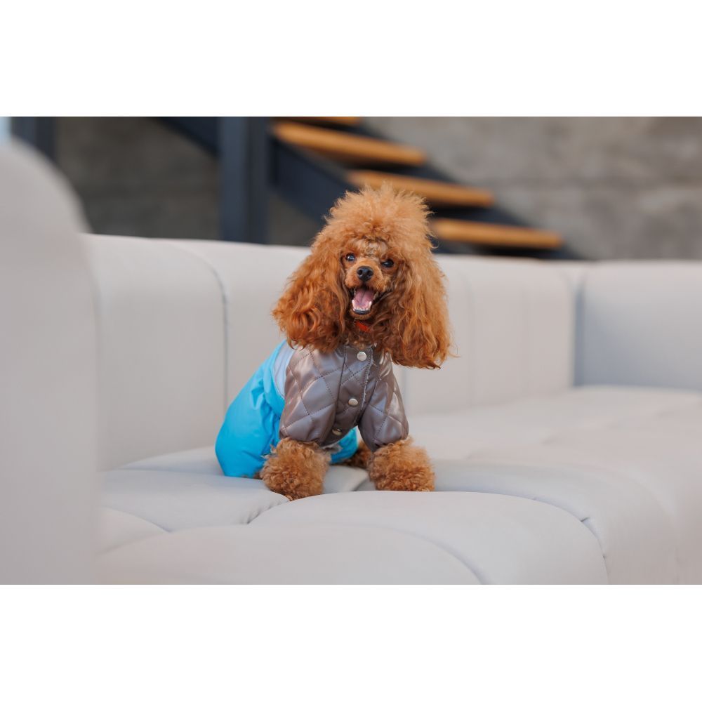Комбінезон для собак Pet Fashion Charlie XS Комбінезон для собак Pet Fashion Charlie XS