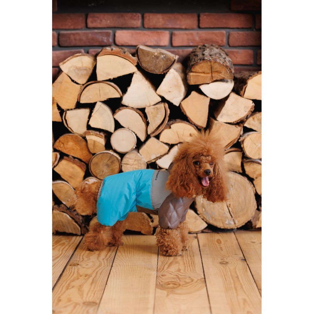 Комбінезон для собак Pet Fashion Charlie XS Комбінезон для собак Pet Fashion Charlie XS