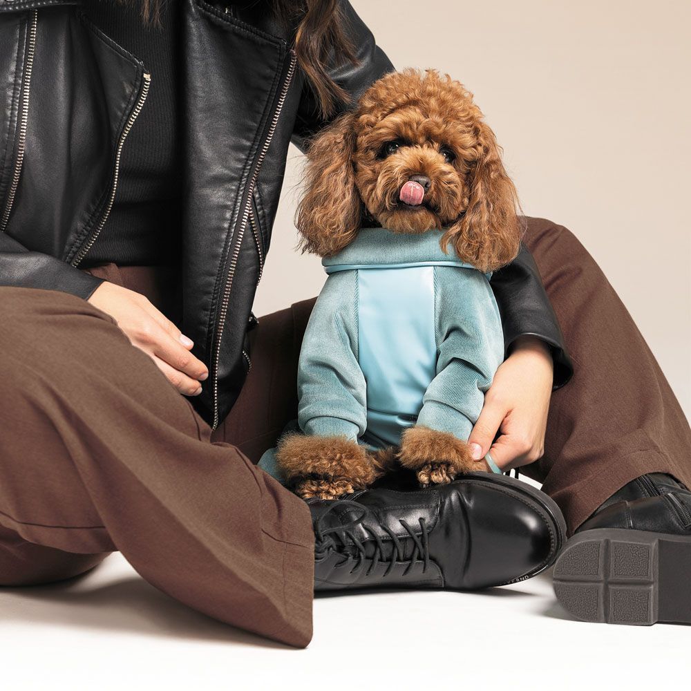 Комбінезон для собак Pet Fashion «COMFORT» M