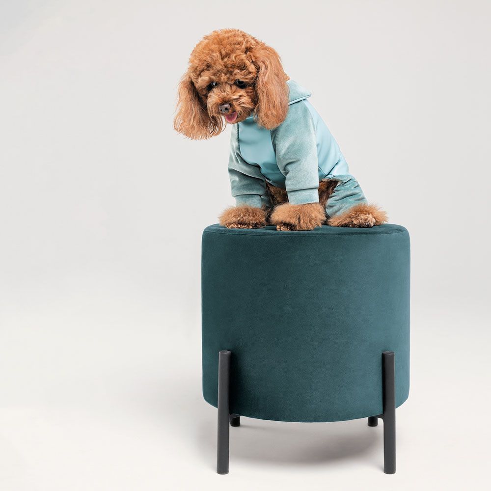Комбінезон для собак Pet Fashion «COMFORT» M