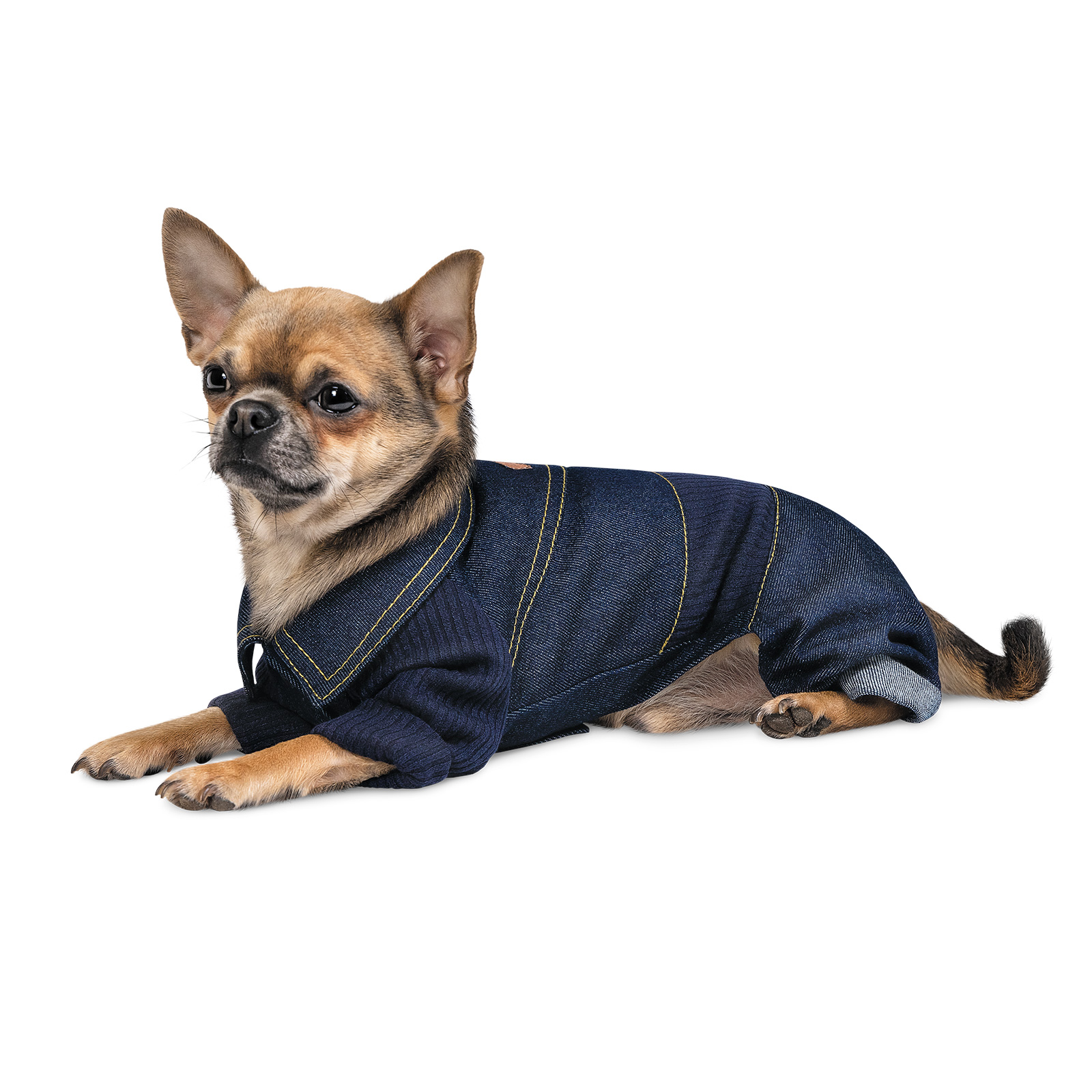 Комбінезон для собак Pet Fashion «Jeans» M (темно-синій) Комбінезон для собак Pet Fashion «Jeans» M (темно-синій)