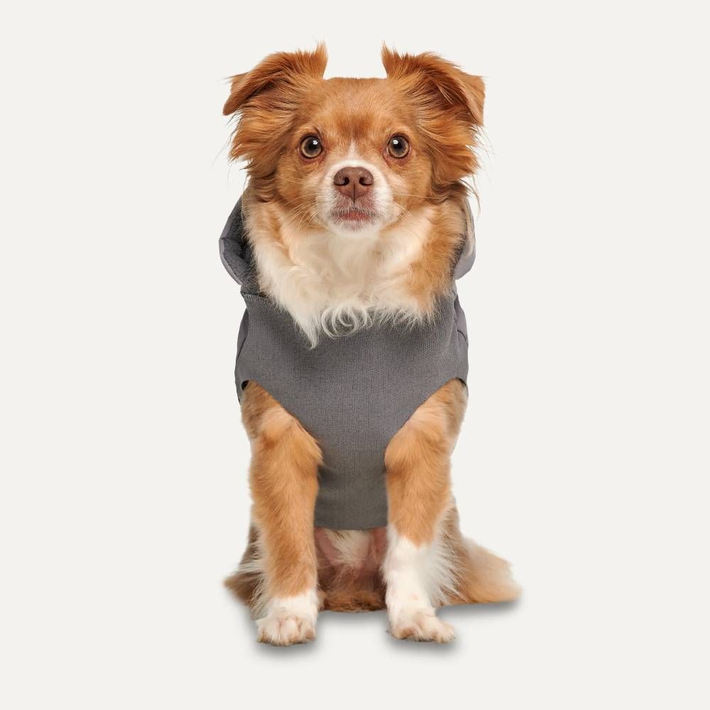 Костюм для собак Goo-eez Hooded Full Body M
