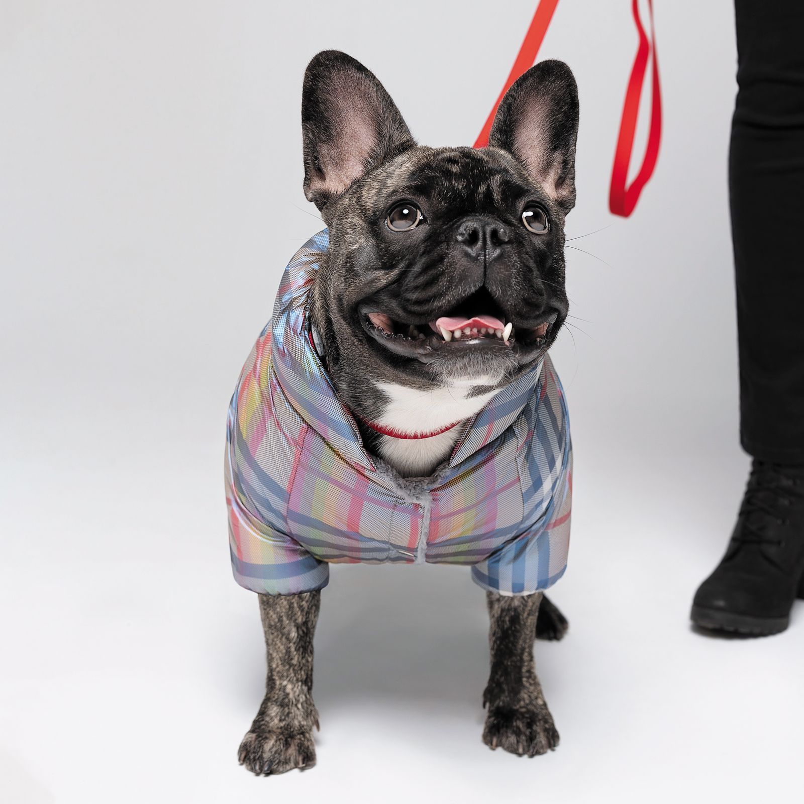 Комбінезон для собак Pet Fashion «INDIGO» XS (клітінка)